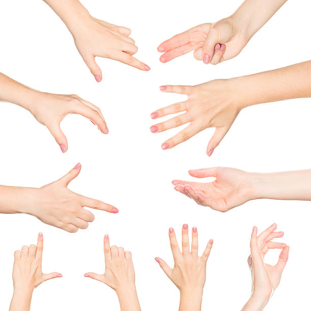Collage of woman hands on white backgrounds