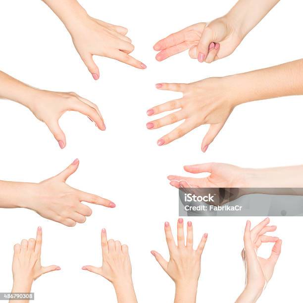 Collage Of Woman Hands On White Backgrounds Stock Photo - Download Image Now - High Angle View, Women, Reaching