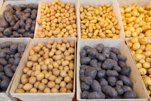 Different species of potatoes on the market in Paris