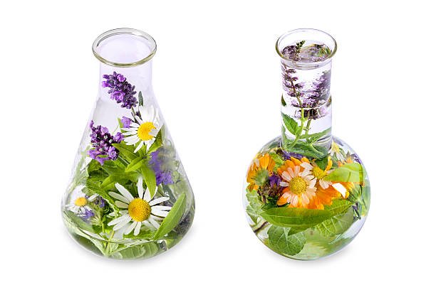 istock Homeopathy and cooking with herbs 486791358