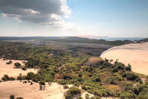 Dunes and forest near the beach on the Bazaruto Islands near Vilanculos in Mozambique