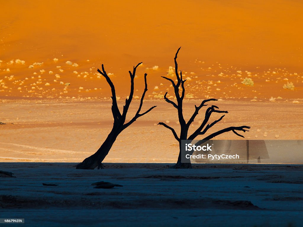 Dead trees in Sossusvlei Dead trees in Sossusvlei (Namib desert, Namibia) 2015 Stock Photo