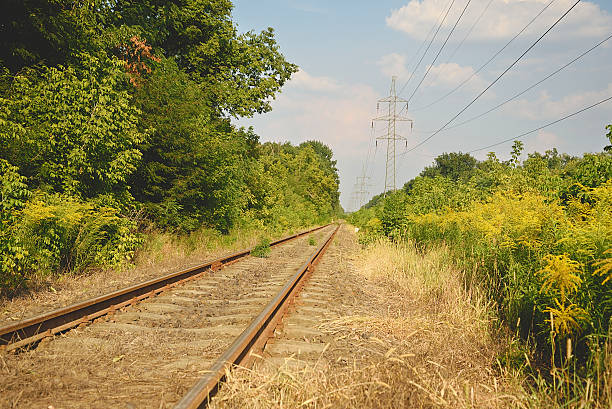 binari in una scena rurale - railroad track train journey rural scene foto e immagini stock