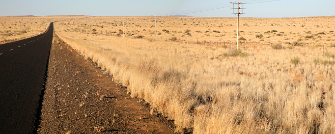 Panorama view of landscape in the North of South Africa with a long black straight road and the orange fields.