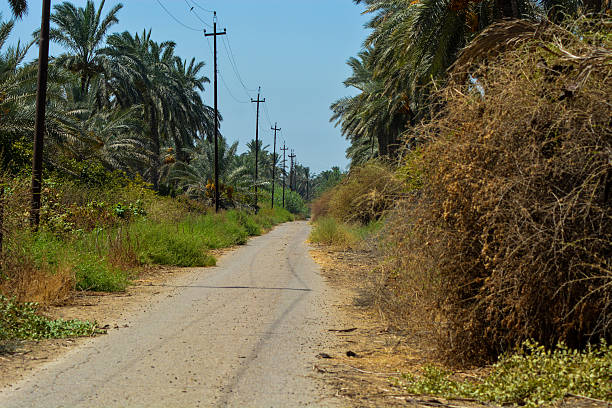 istock travel country road 486795914