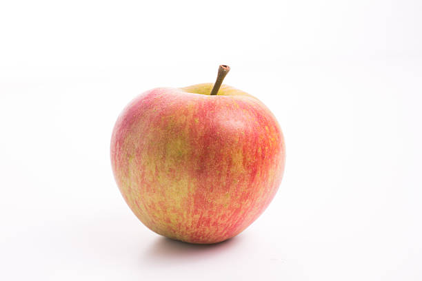 istock Red and green english apple on white background 486798926