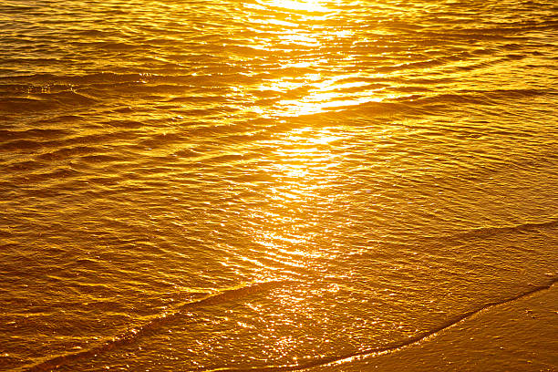 istock Sea golden color 486805140