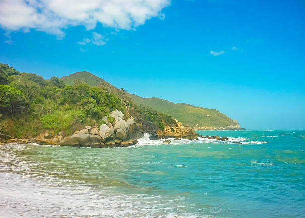istock Empty Beach at Tayrona Nation Park Colombia 486807268
