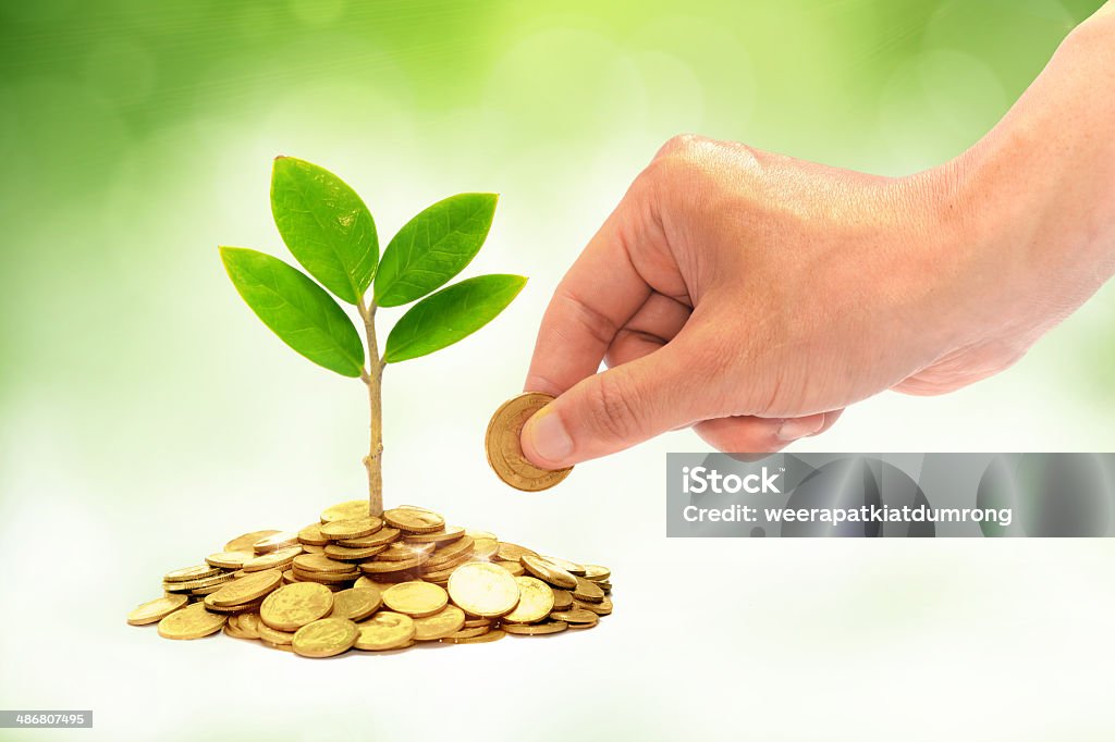 tree growing on coins hand giving a golden coin to a tree growing from pile of coins / csr / green business / business ethics / good governance British Currency Stock Photo