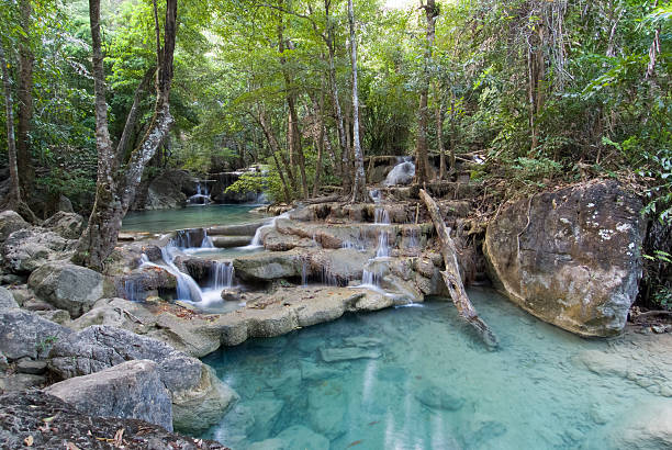 parc national d'erawan, kanchanaburi, thaïlande - waterfall tropical rainforest erawan thailand photos et images de collection
