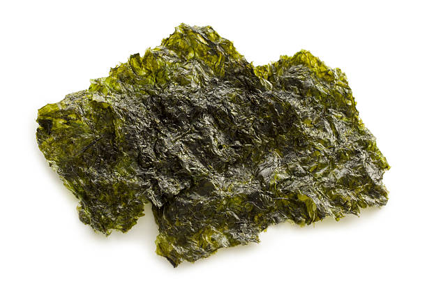 Nori edible seaweed commonly used to make sushi A sheet of Nori also known as Gim, Laver and Zicai (Edible seaweed) commonly used to make sushi on a white background. nori stock pictures, royalty-free photos & images