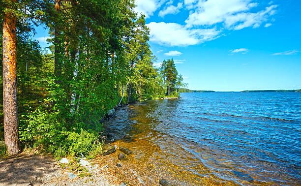 istock Lake Ruotsalainen summer view (Finland). 486810071