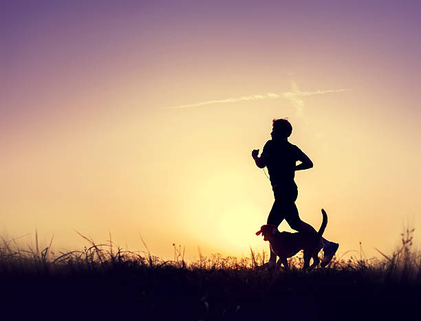 istock Runner with dog silhouettes at the sunset 486811340
