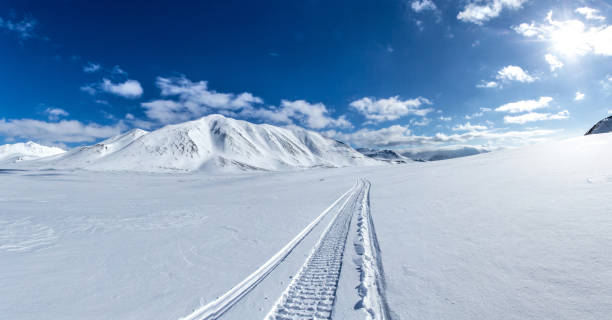 istock Arctic spring in south Spitsbergen. 486811850