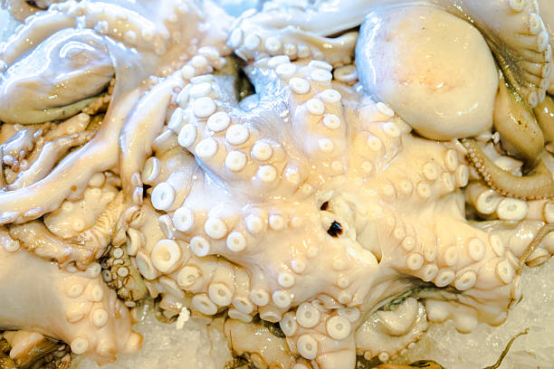 istock Fresh octopuses at the market 486812084