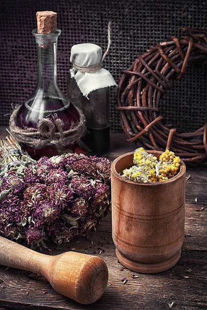 istock harvesting of medicinal herbs 486812368