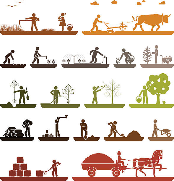 Pictogram icons presenting agricultural work and life on the farm. Mowing, plowing, planting, watering, pruning trees, digging, chopping wood, baling hay, collecting crops, transporting with horse drawn wagon. Agriculture icons.  Organic production. farmer symbols stock illustrations