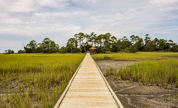 istock hunting island beach scenes 486815256