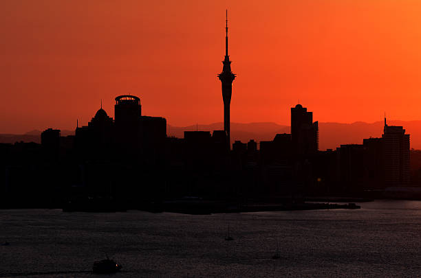 istock Auckland Cityscape 486815560