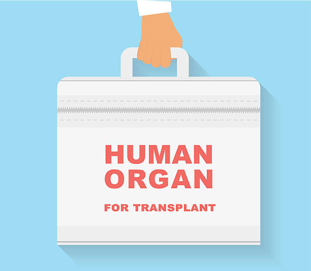 illustrations, cliparts, dessins animés et icônes de les organes de transplanter sac. - transplantation cardiaque