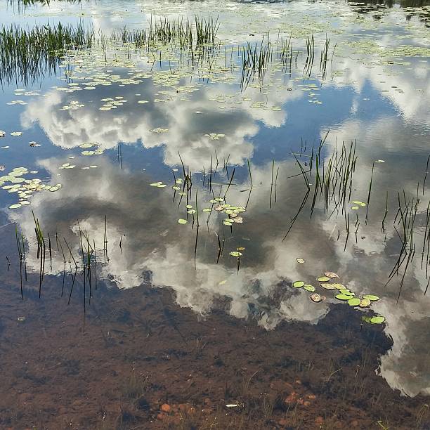 istock Cloud Reflection, Water, Harrisburg Lake, Wilcox Pond, Stony Creek, Adirondacks 486818216