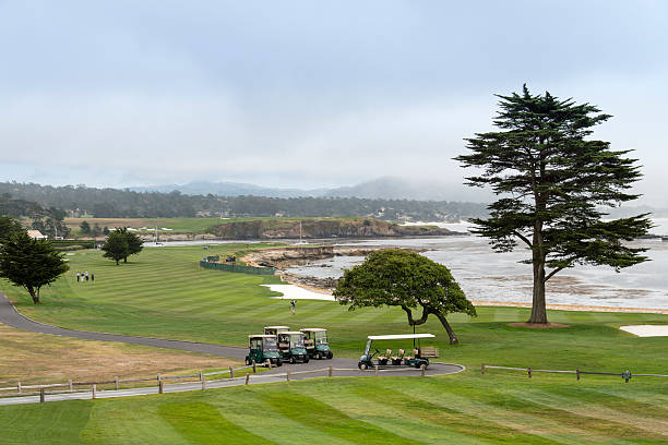 галечный пляж и поле для гольфа - pebble beach california golf golf course carmel california стоковые фото и изображения