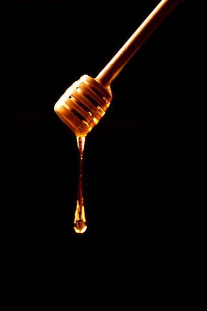 istock Honey stick with flowing over dark background close up 486819990
