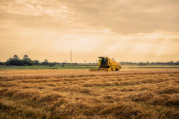 istock Harvester on a field in the summertime 486820130