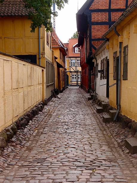 old town street und gebäude, odense, dänemark - odense stock-fotos und bilder