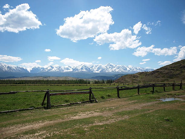 istock Altai mountains at the summer season 486821768