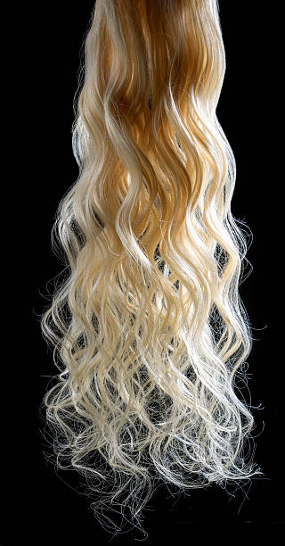 Natural Human Hair Tresses Hanging On A Black Background Stock Photo -  Download Image Now - iStock