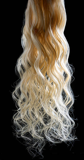 Natural Human Hair Tresses Hanging On A Black Background Stock Photo - Download Image Now - iStock Natural Human Hair Tresses Hanging On A Black Background Stock Photo - Download Image Now - iStock