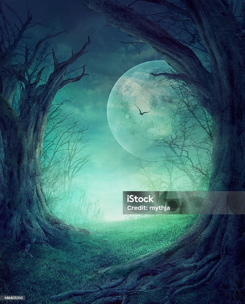 Halloween Spooky Forest Stock Photo - Download Image Now - Spooky, Forest,  Horror - iStock