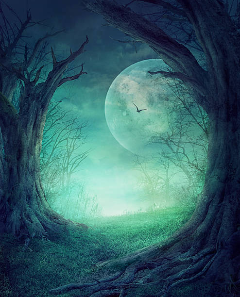 Halloween Spooky Forest Halloween design - Spooky tree. Horror background with autumn valley with woods, spooky tree and full moon. Space for your Halloween holiday text. gothic art stock pictures, royalty-free photos & images