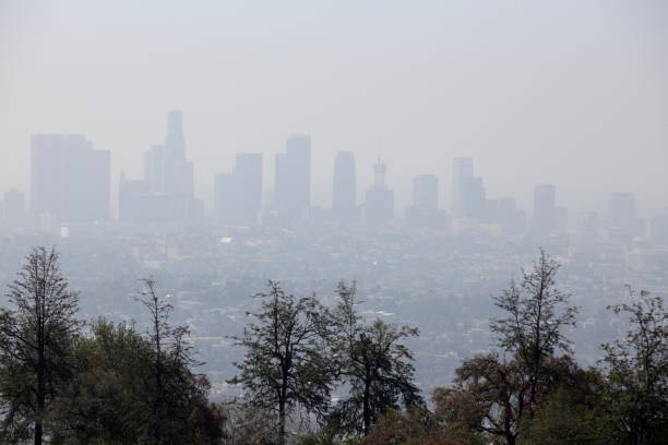 istock Los Angeles city smog 486827376