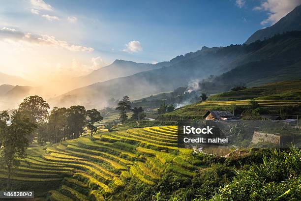 Rice Fields On Terraced In Sunset At Sapa Stock Photo - Download Image Now - Vietnam, Bali, Sa Pa