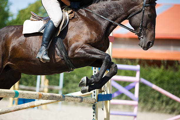 istock Horse rider jumping 486828834