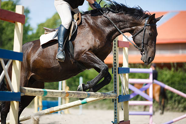 istock Horse rider jumping 486828858