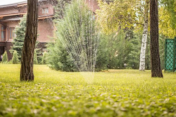istock Sprinkle sprinkle the lawn in the park. 486829846