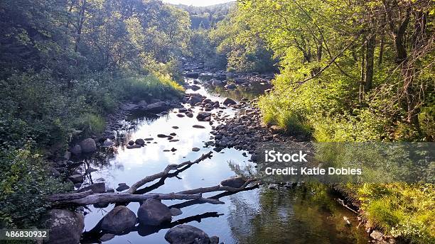 Wilcox Pond Harrisburg Lake Stony Creek Adirondacks Ny Creek Reflection Stock Photo - Download Image Now