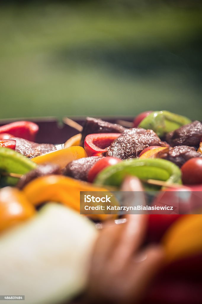 Shashliks on the grill Close-up of tasty shashliks on the grill 2015 Stock Photo