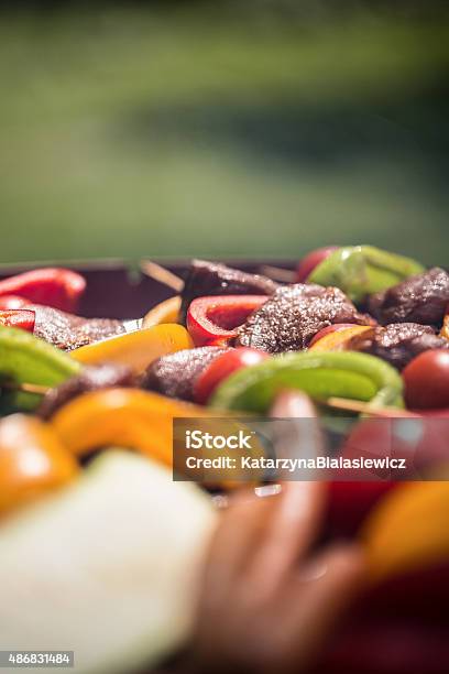 Shashliks On The Grill Stock Photo - Download Image Now - 2015, Barbecue - Meal, Barbecue Grill