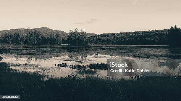 Wilcox Pond Harrisburg Lake Stony Creek Adirondacks Ny Bw Stock Photo - Download Image Now