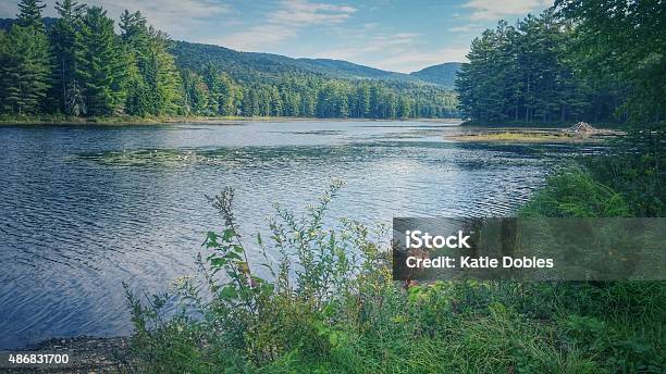 Beautiful Landscape Wilcox Pond Harrisburg Lake Stony Creek Adirondacks Ny Stock Photo - Download Image Now