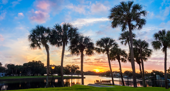 Photo of a wonderful sunset, dramatic sky with clouds and silhouetted palm trees in Tarpon Springs, Florida, USA