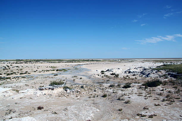 istock Namibia: The Pan at Etosha National Park 486832989