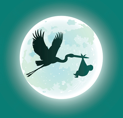 Flying Stork Deliveres Baby in Moonlight - Silhouette