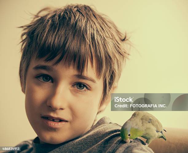 Boy With Pet Bird Stock Photo - Download Image Now - Animal, Animal Body Part, Animal Wing