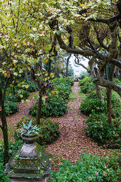 park and villa Aldobrandini in Frascati, Italy stock photo