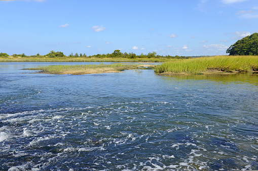 Estuary transition zone between fresh water of a river and marine environment, habitats crucial for fish and other marine life and which are sensitive to pollution